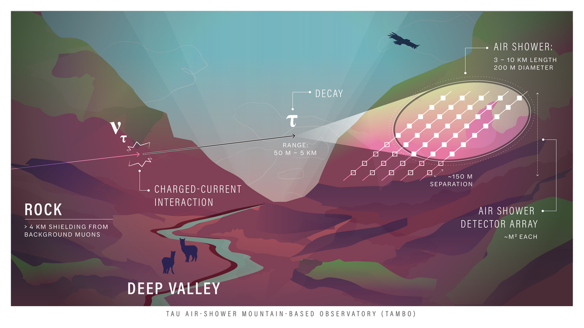 Illustrated schematic of a tau neutrino entering the left canyon wall, producing a tau lepton that decays in the valley and fans into an air shower over the detector array on the right wall