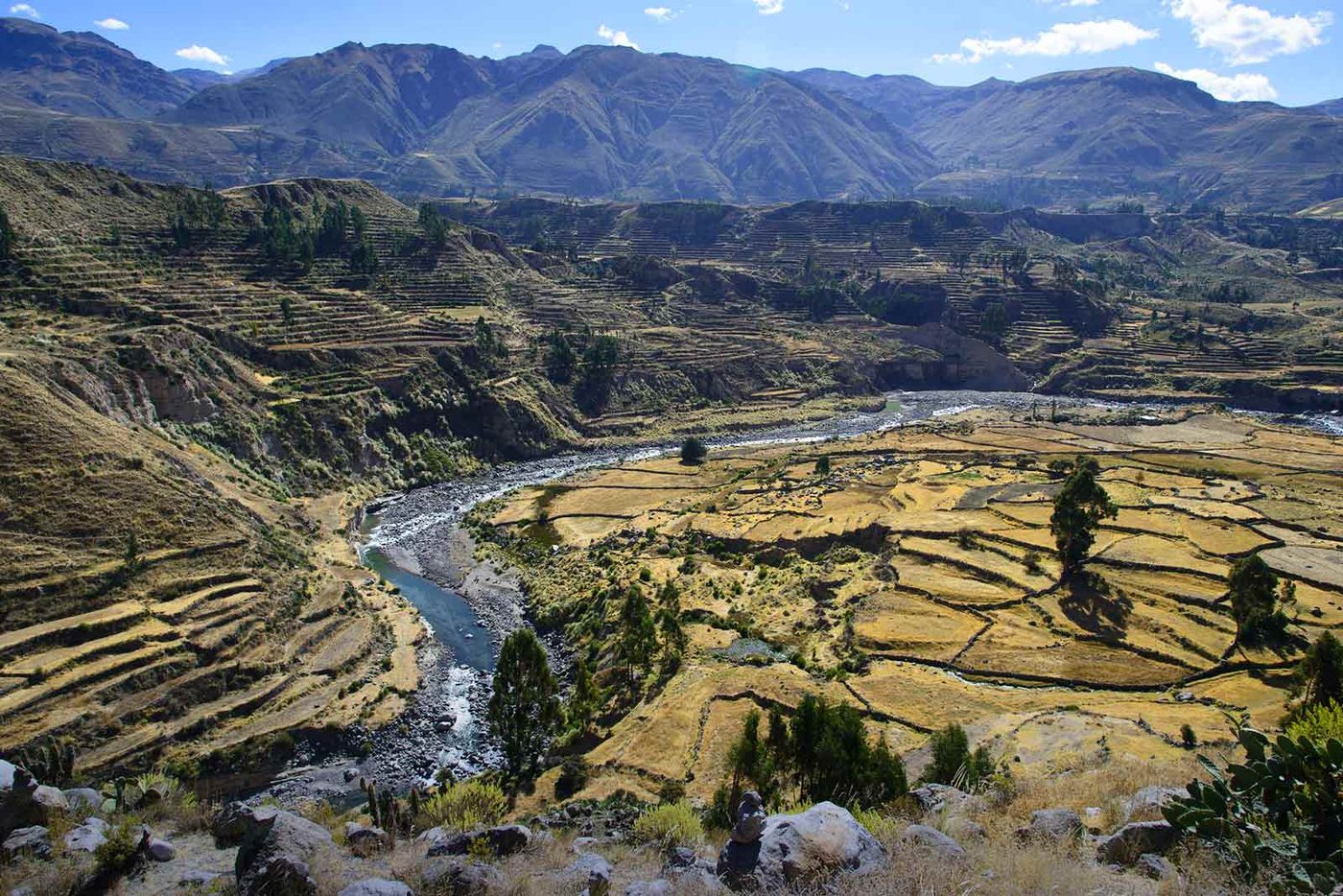 Terraces and the river along the floor of the Colca Canyon